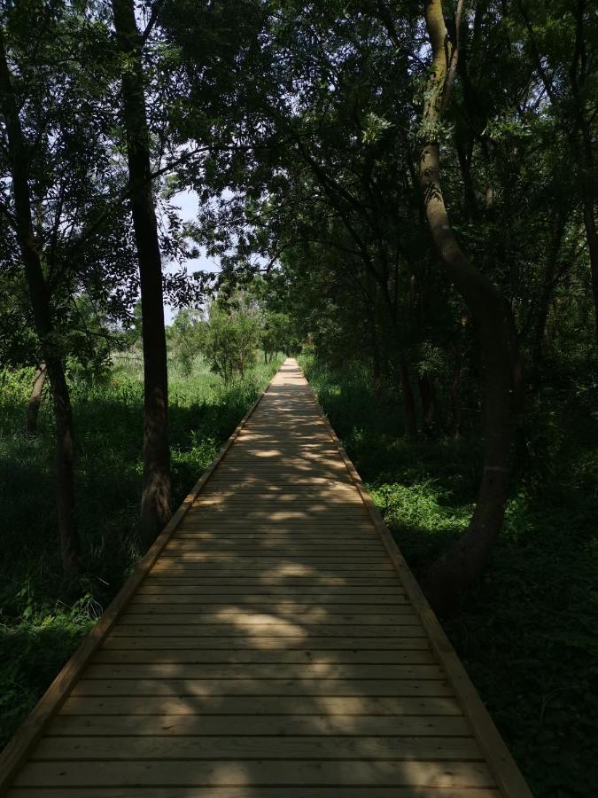 Apartma Vatovec Ankaran Buitenkant foto