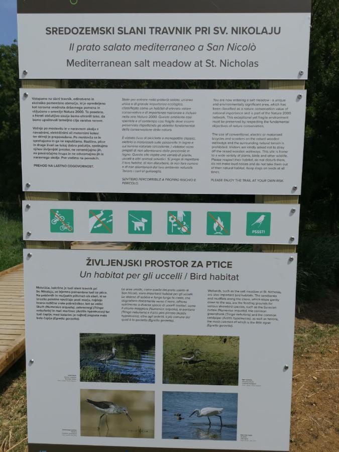Apartma Vatovec Ankaran Buitenkant foto